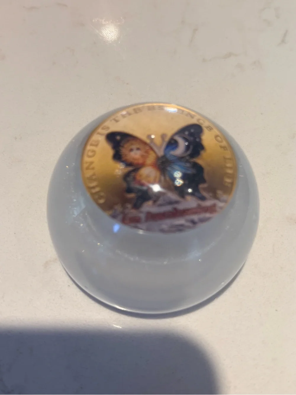 Decorative Blue resin  Paperweight with Butterfly Art
